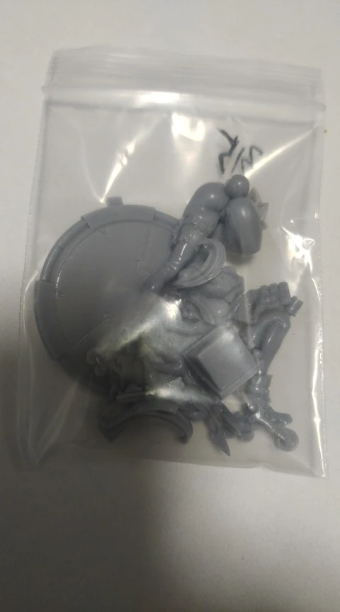 Buyer photo of this resin kit