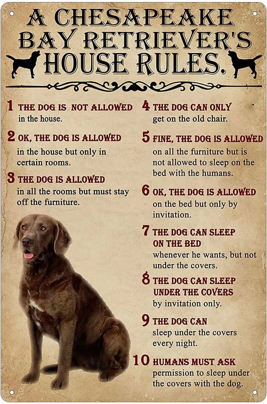 Dog Tin Sign Vintage Chesapeake Bay RetrieverHouse Rules Wall Decoration Home Farm Bar Home Club Cafe Wall Hanging Gift