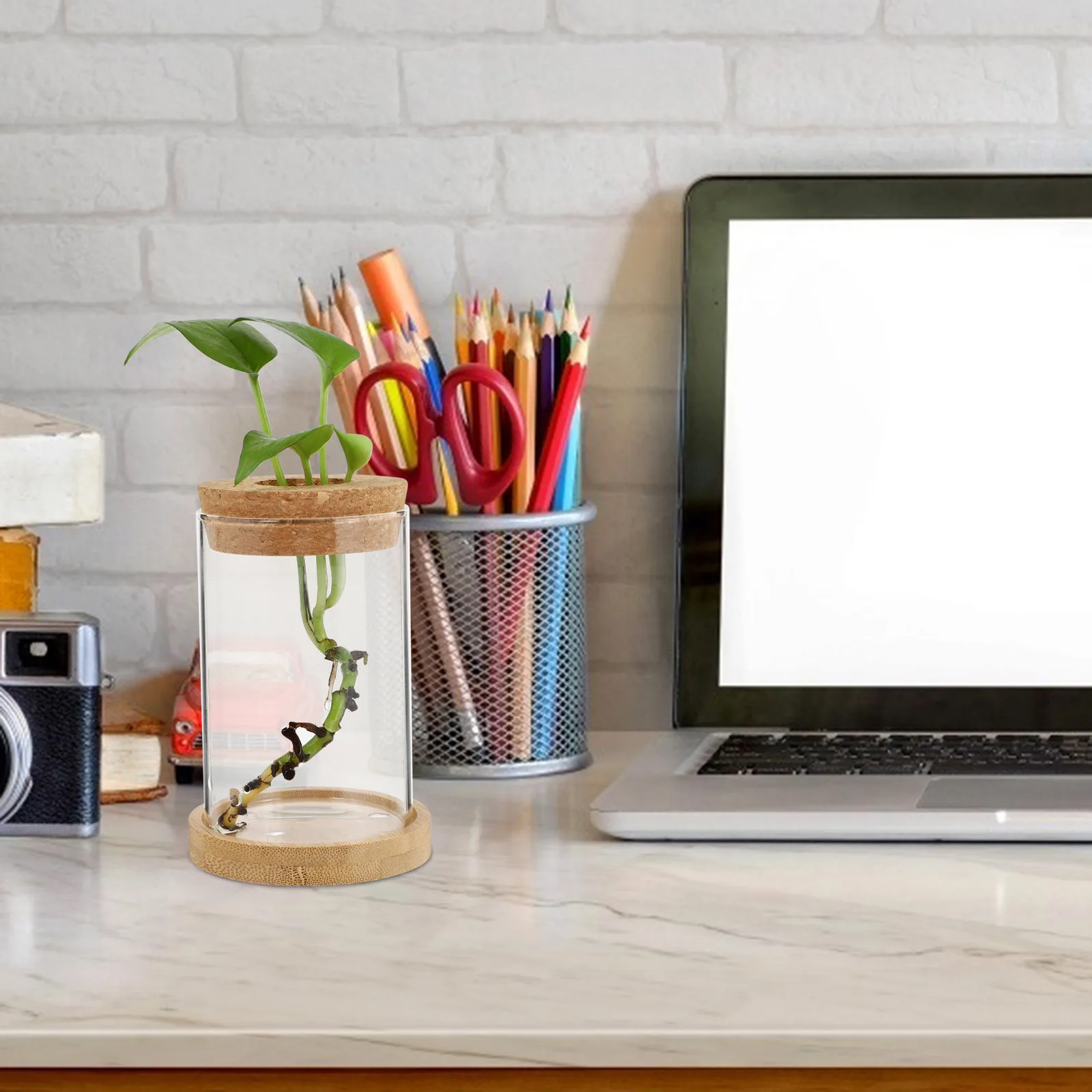 

2Pcs Glass Eco Vase High-Quality Wood Base Space Saving Desktop Vase for Hydroponic Plants Home Decoration Terrarium Planter