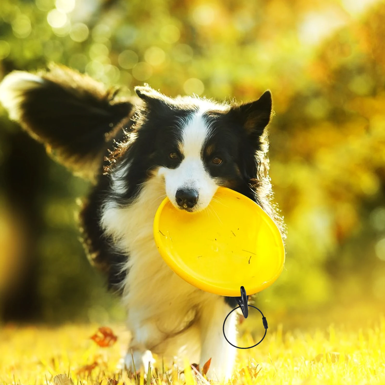 

5pcs Sport Disk Hanger Hooks Flying Disc Holders Durable Pp Stainless Steel Multi-Functional Easy Install Wall Mounted Storage