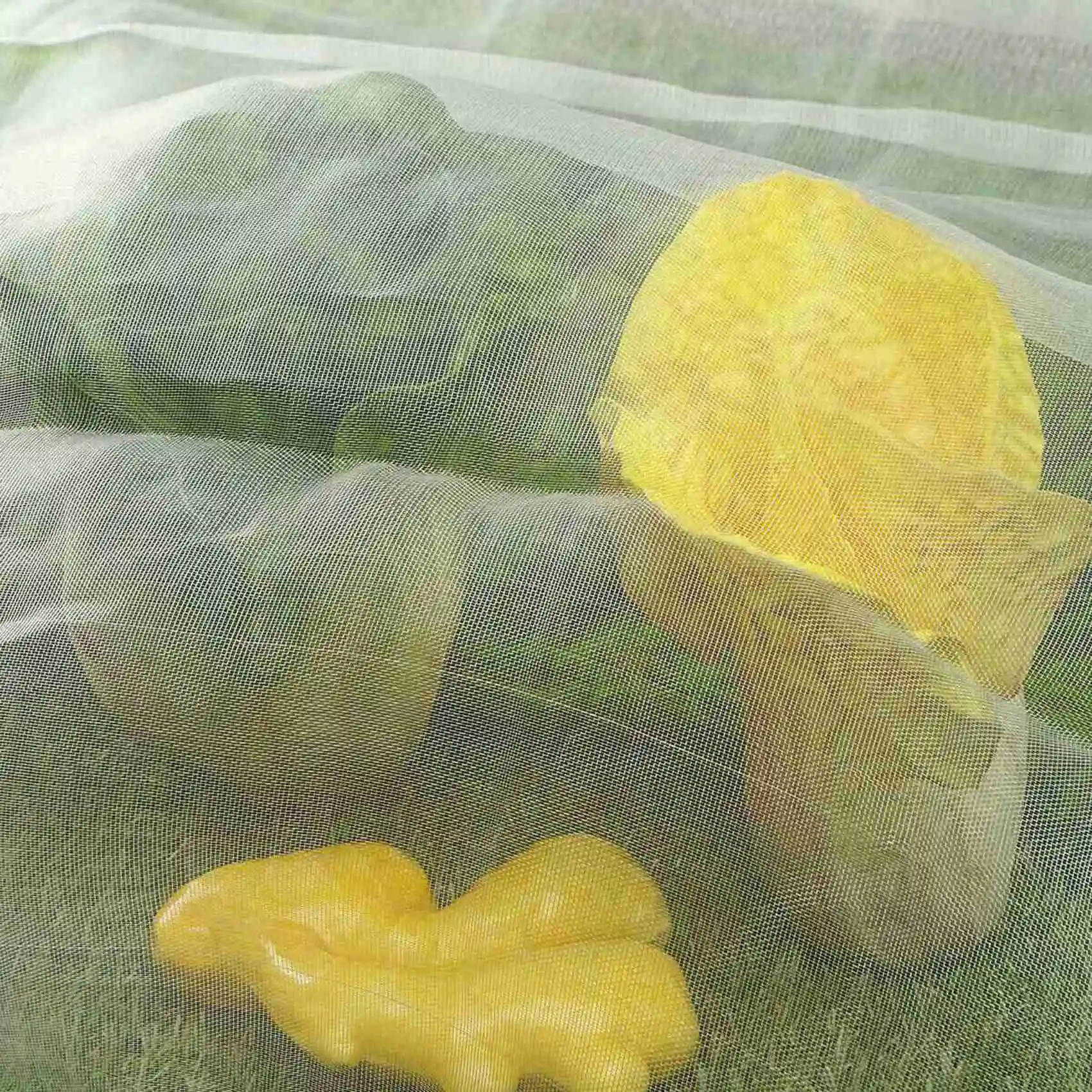 ABLG 4X,10Mx2m Insect Bug Fly Fruit Cage Mesh Net Netting Vegetable Plant Protection