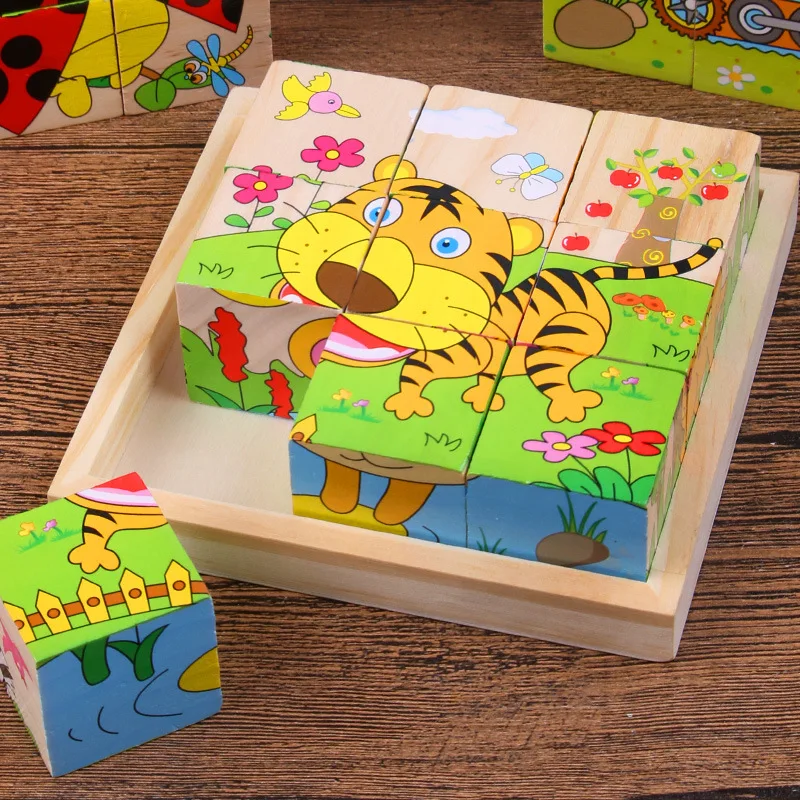 

Children's Wisdom Early Education Building Blocks Wooden Toys 9 Six-sided Painting Three-dimensional Puzzle Blocks Wholesale