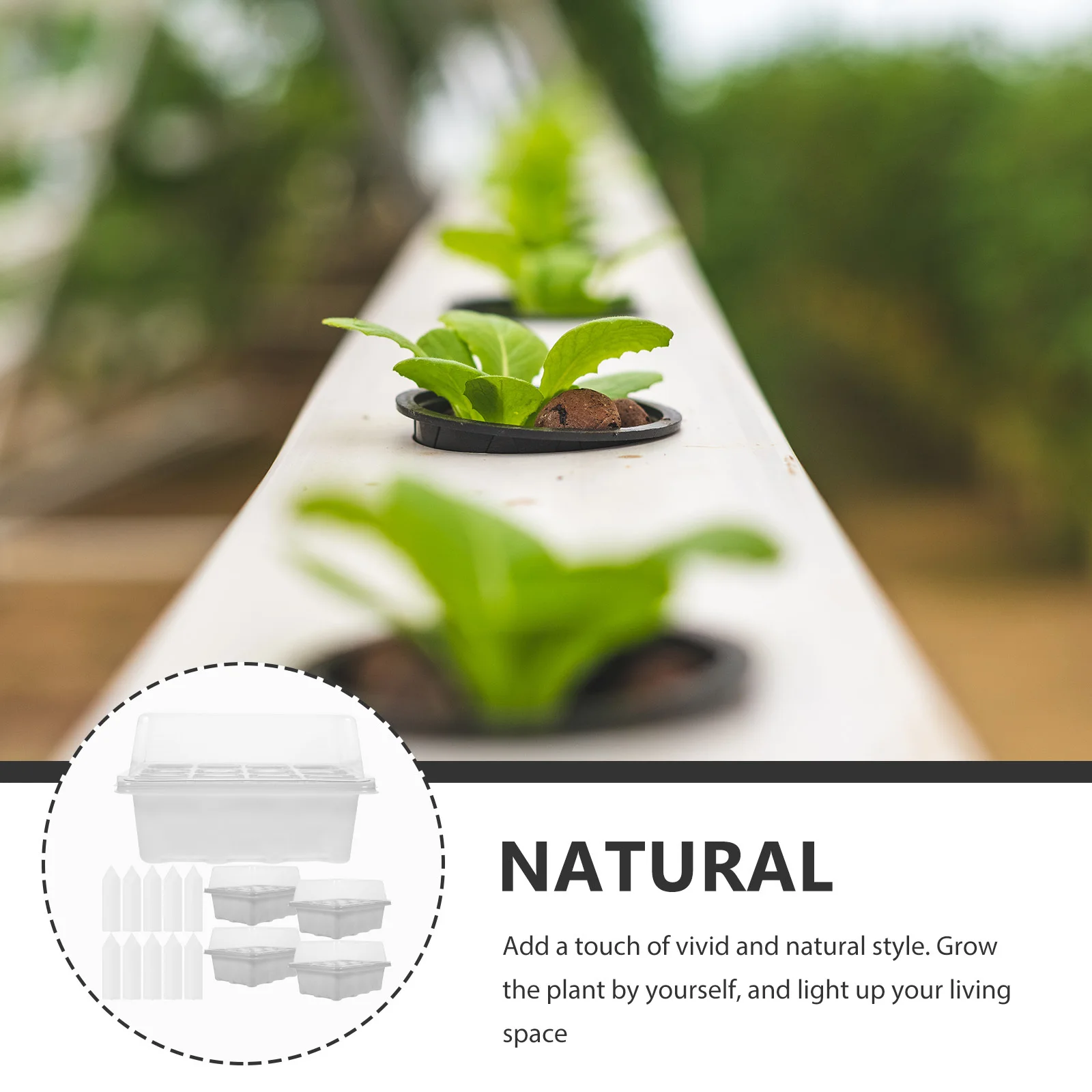 

1Set Plant Trays Seedling Starter Tray with Lid Nursery Supply Garden Seed Germination Plate Seedling Growing Tray