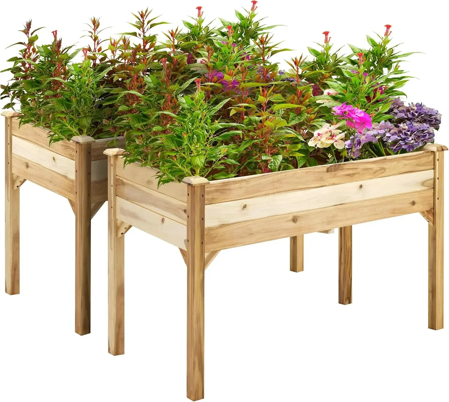 2PCS 48 x 24 x 30 in FSC-Certified Acacia Wood Raised Garden Bed - Elevated Planter Box with Legs Plant Stand Outdoor for Herbs