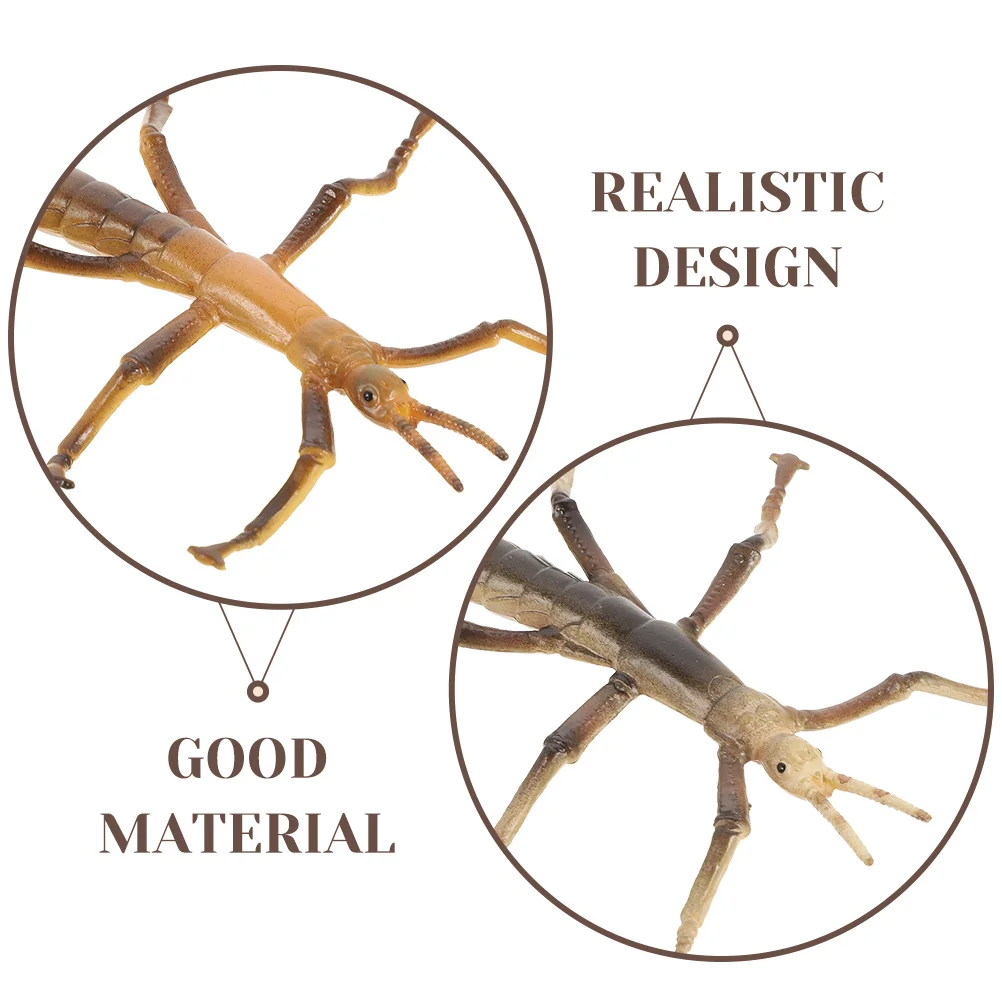 2 Pcs Stick Insect Model Toy Models Toys for Education Plastic Insects Fake Child Vivid Simulated