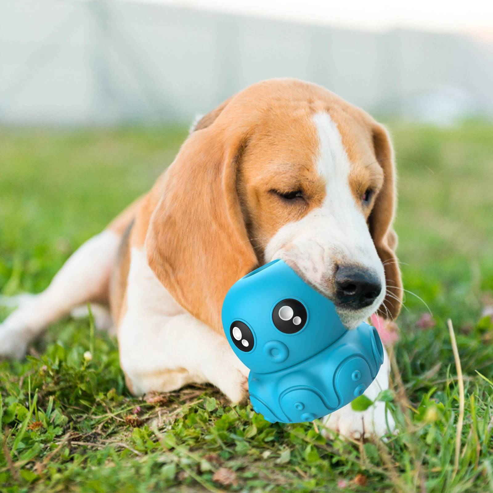 Thumbnail 4 - #76 Latest Treat Dispensing Dog Toys Offers