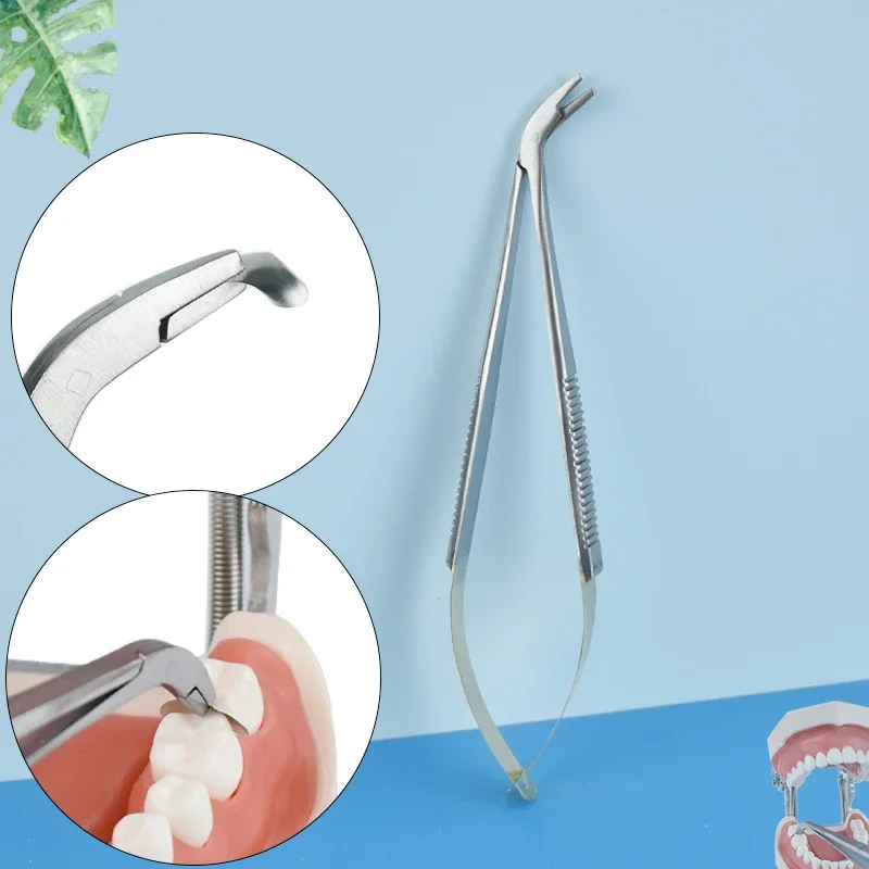 الأسنان المعادن مصفوفة مصفوفة حلقة دلتا مصفوفة حامل مرونة إسفين البلاستيك خشبية إسفين حامل مصفوفة حلقة الموزع ذو طيات