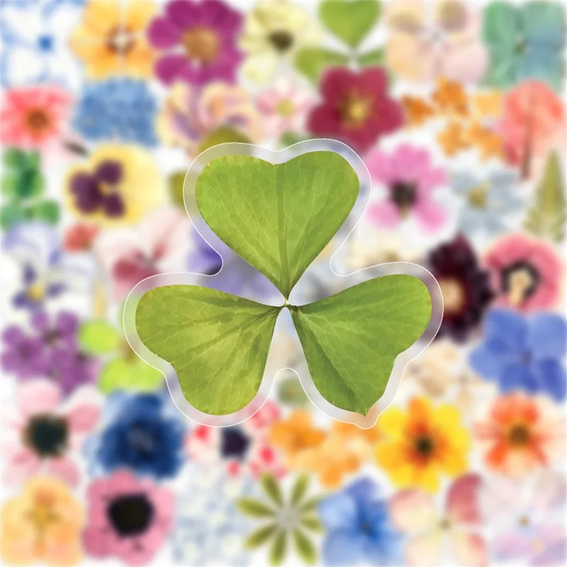 50PCS Colorful Embossing PET Sticker Aesthetic Hand Accounting Transparent DIY Decoration Scrapbooking Supplies