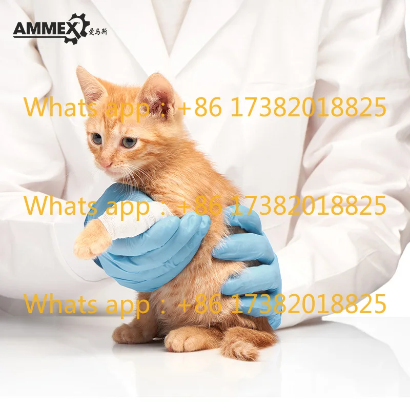 Disposable synthetic gloves, nitrile latex food grade thickened powder-free catering kitchen gloves