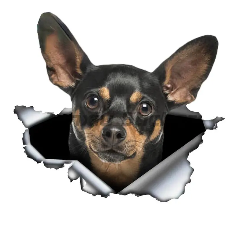 Pinscher Dog Car Sticker Vinyl Rear Windshield Trunk Custom Decal Pet Graphic