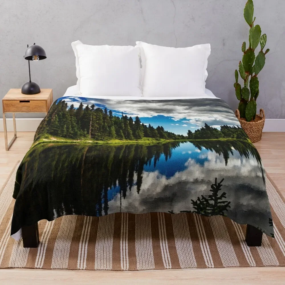 

Colorado Oil Painting Throw Blanket For Sofa Thin Luxury Designer Furrys Flannel Blankets For Sofas Blankets