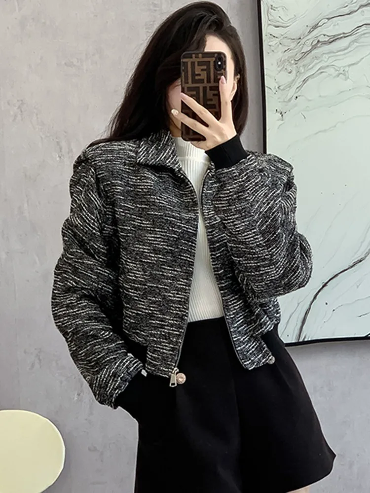 

High Quality Short Jacket Women New Arrival 2023 Autumn Korean Style Turn-down Collar Basics Ladies Elegant Coats W1443