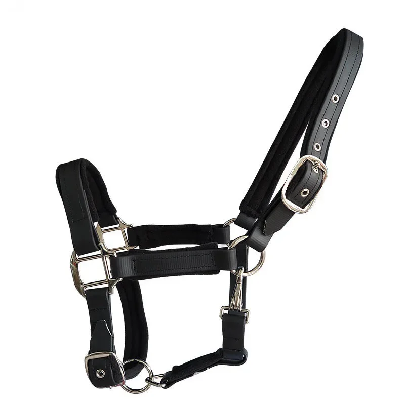 Nylon Horse with PVC layer  Halter Comfort High Quality Fleece padded Halter for horse with sponge cushion Wholesale