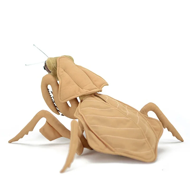 

28cm Original Insect Series Leaf Back Mantis Plush Toy Simulation Animal Doll Simulation Stuffed Doll Kawaii Toy Gifts