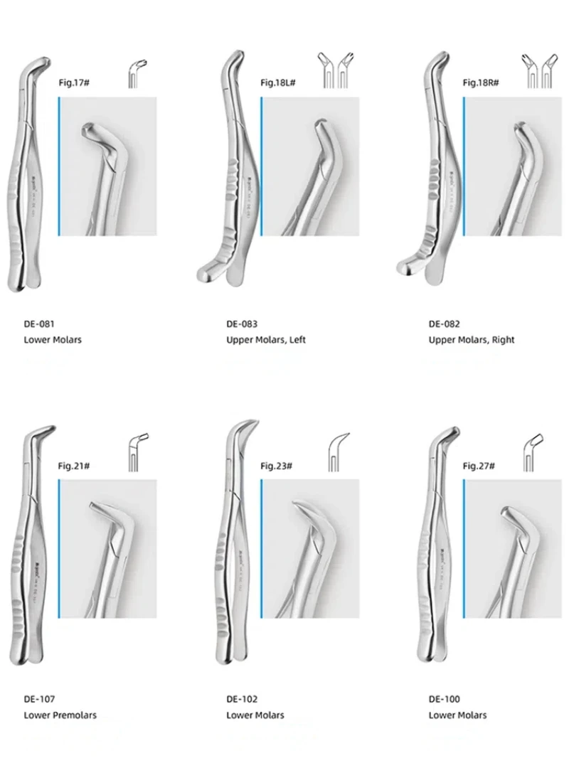 1pc wysokiej jakości dentystyczne szczypce do usuwania zębów dla dorosłych szczypce do usuwania zębów szczypce do usuwania zębów szczypce