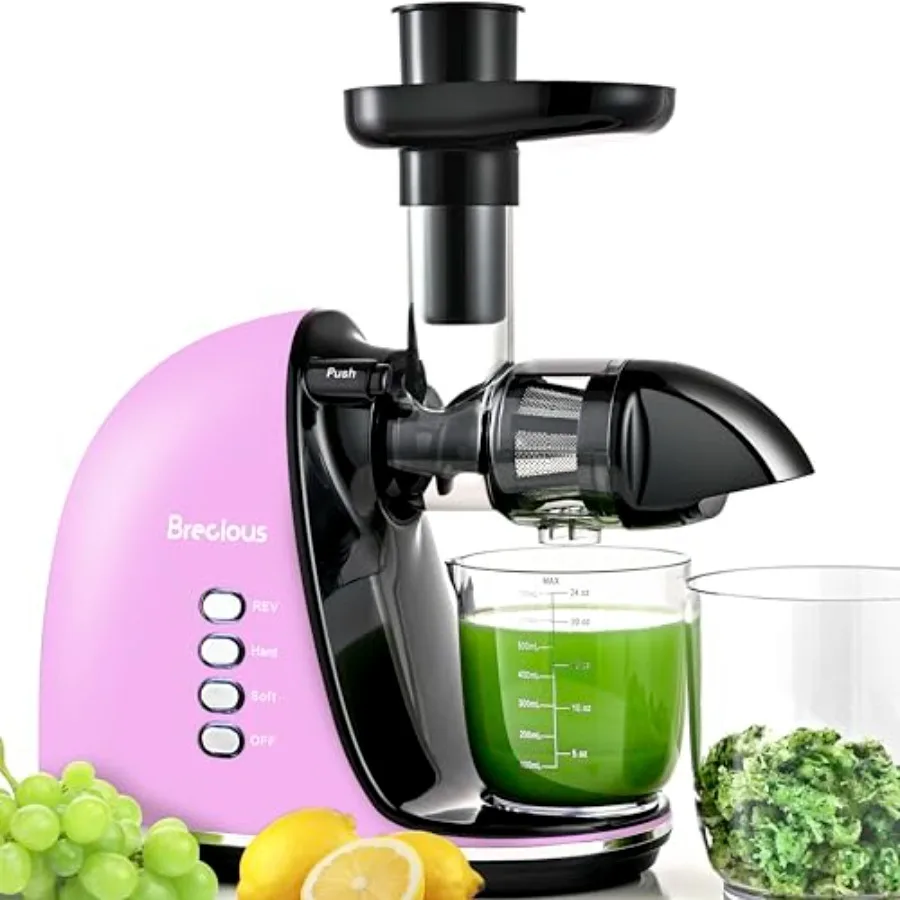 

Purple Slow Masticating Juicer with 2 Speed Modes and Quiet Motor for Vegetables and Fruits Cold Press Juicer with Reverse Func