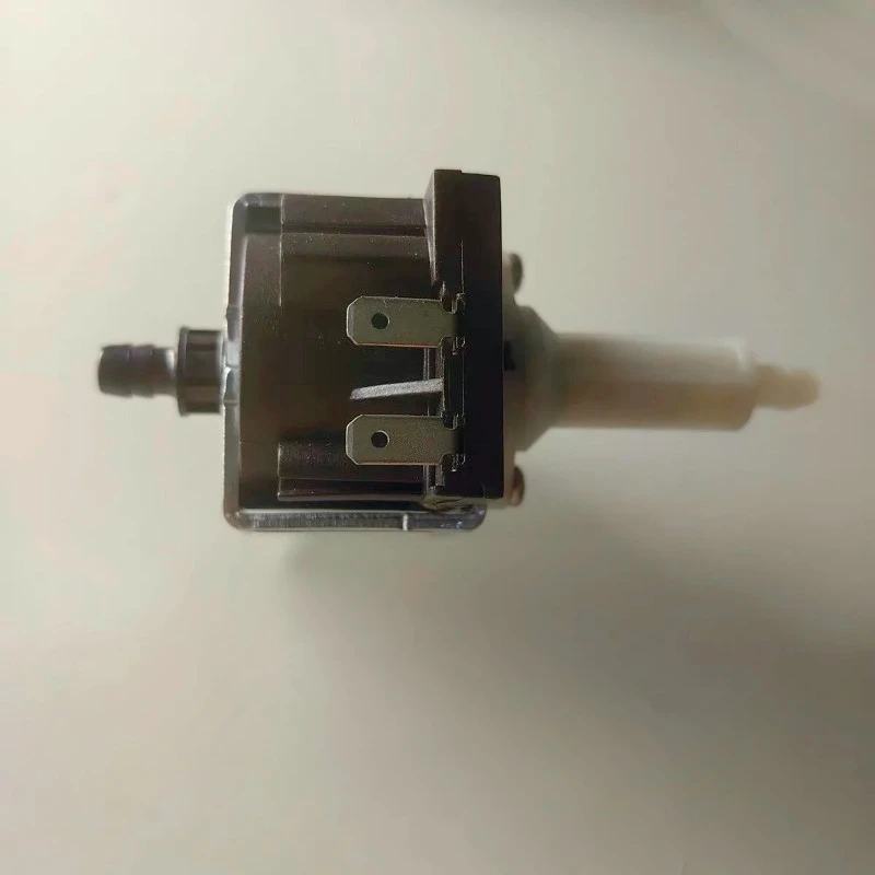 Suitable for W11 Sweeping Machine Magnetic Pump SPS-32-24-1/S DC12V