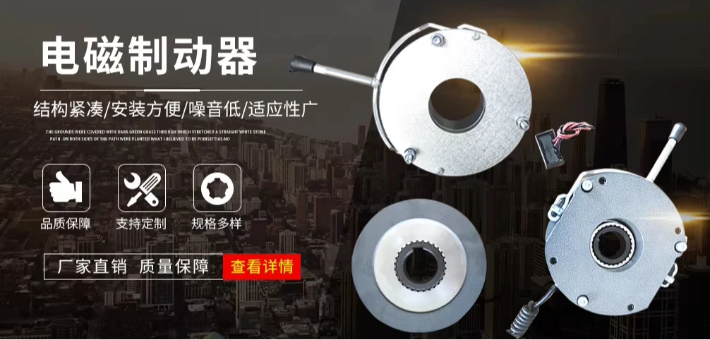 

Электромагнитный тормоз DHM3-0.4S с защитой от сбоев питания DHM3-8S-4S-8S-15S-20S-30S-45S-60S