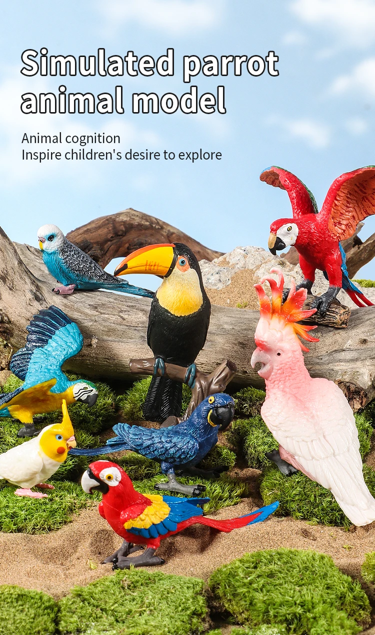 Realistische Vogelfiguren-Set - Papageien-Lernspielzeug für Kinder Simulierte Plastik-Tiermodelle Tierfiguren-Sammlung – Detail 1