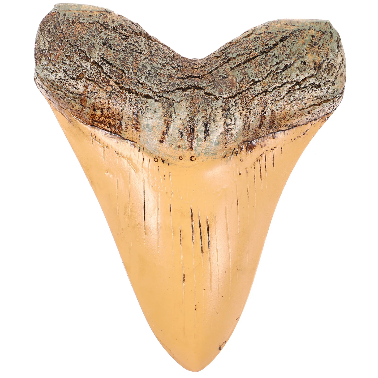 

Retro Decoration Resin For Collection Education Display Desktop Ornament Lightweight Durable Craft Stone Art