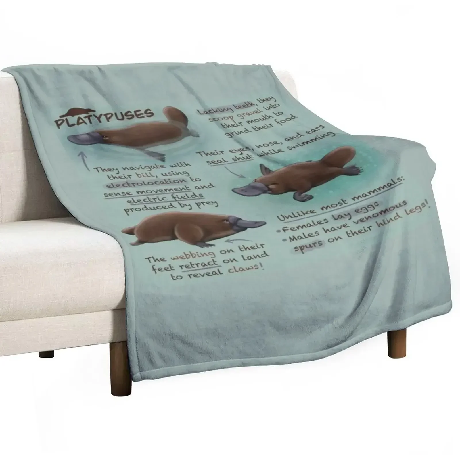 Platypuses Fun Facts Throw Blanket valentine gift ideas Hairys For Decorative Sofa Blankets