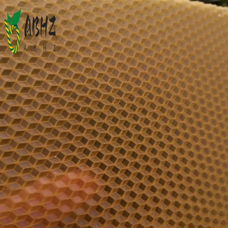 

ABHZ-30Pcs Листы для основы пчелиного улья, листы основы из глубокого пчелиного воска для рамок пчел, инструмент для пчеловодства 41,5X19,5 см