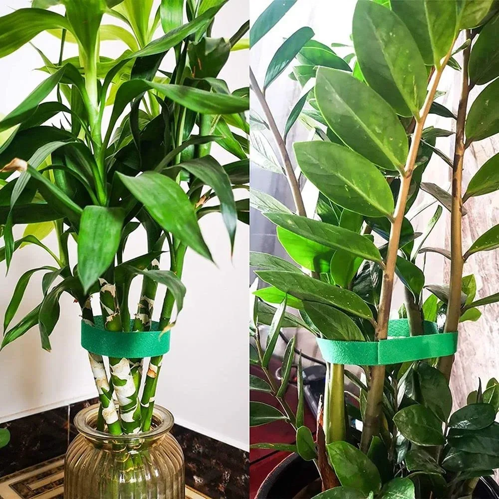 3 Rolls Nylon Ultra Thin Plant Ties with Hook Loop - Garden Shape Support Tape Gardening Accessories