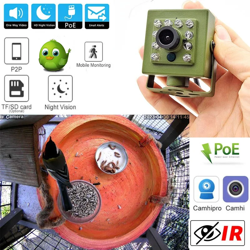 

Green 940nm IR POE IP Bird Nest Feeder Camera Audio 5MP 1080P IR CUT Night Vision RTSP FTP Mini Bird Box Cam Indoor