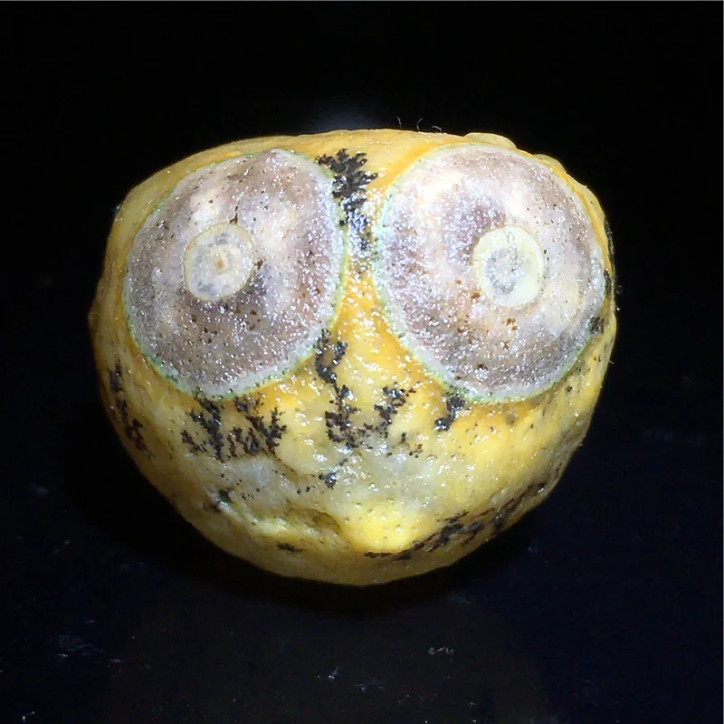 Natural Rare Stone Alashan Gobi Yellow or Old Skin Eye Agate for Palm Handle Play Gobi Mineral Crystals Beads for Jewelry Making