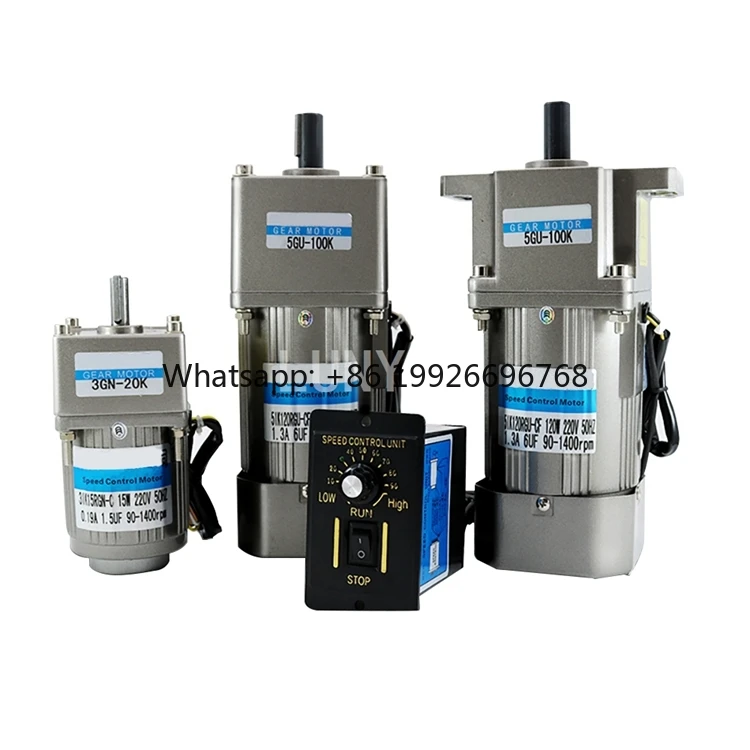 

China Manufacturer Lunyee 370W 220V 230V Ac Gear Motor for Labeling Machine Packing Machine