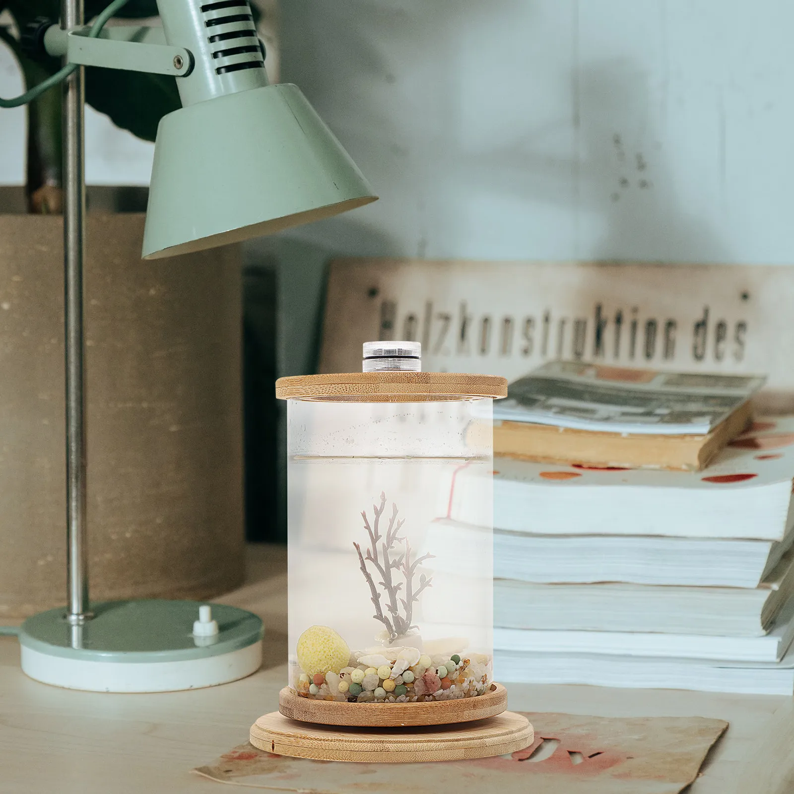 1-ensemble-de-bouteilles-ecologiques-pour-micro-paysage-aquarium-decoratif-robuste-pour-la-maison-aquarium-de-bureau-decoration-de-bureau