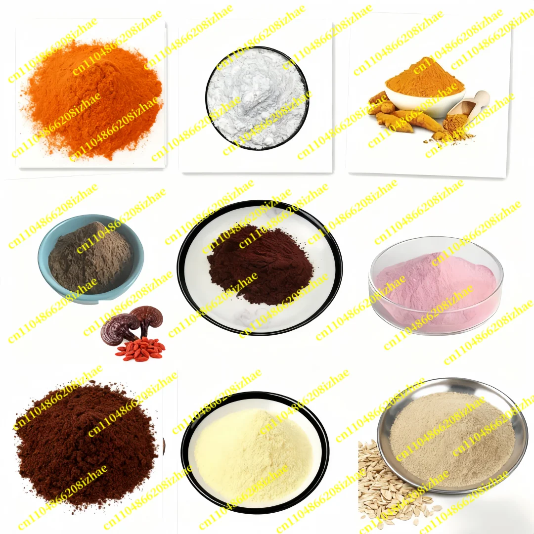 نسبة عالمية مخصصة التعبئة والتغليف الأسود ماني الفطر استخراج مسحوق السائبة هيريسيوم إريناسيوس خارج التعبئة كيس رقائق الألومنيوم