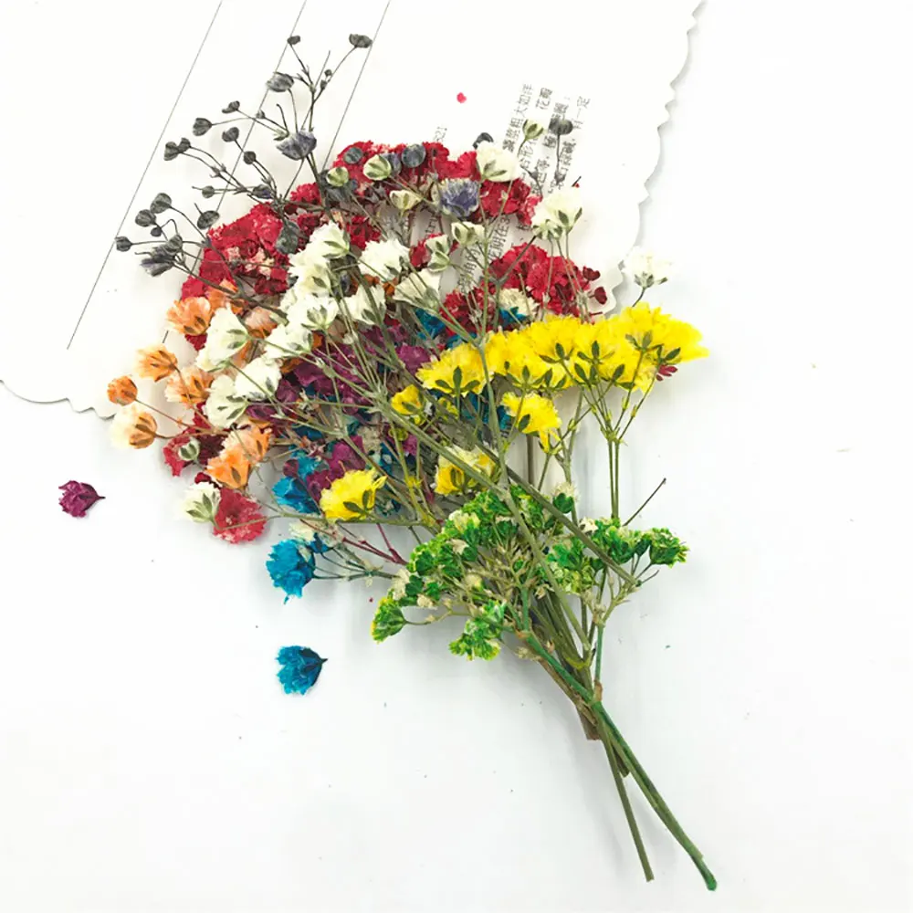 Silikonwelt DIY getrocknete Blumen Harzformfüllungen UV-Epoxidharz Blume für Nail Art gepresste Blume für Heimdekoration