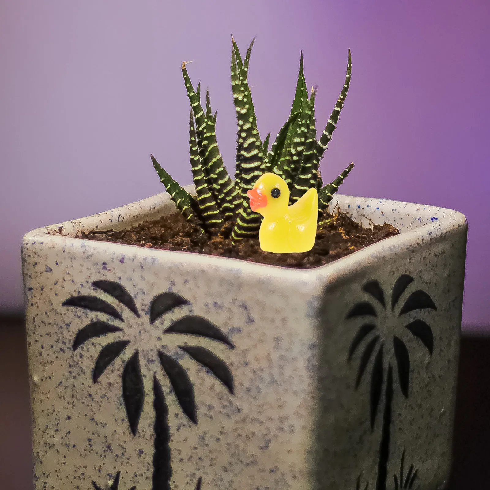 

50pcs Mini Duck Resin Micro Landscape Decor For Garden Tabletop Succulents House Desktop Craft Ornament Vehicle Decoration