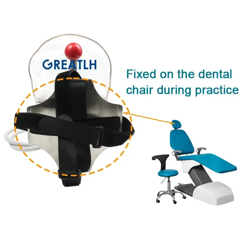 GREATLH Dental Model Resin Teeth with New Style Bench Mount for Dental Implants Dental Phantom Head