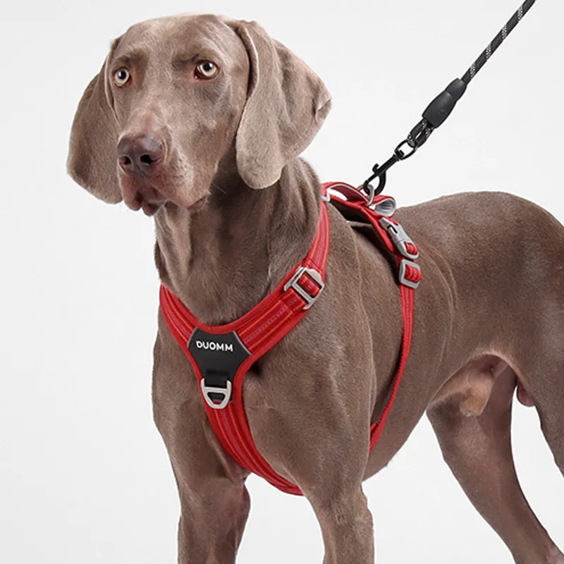 Breathable No Pull Dog Harness Optional Matching Leash For Medium Large Dogs Doberman Border Collie Outdoor Walking Training Adj