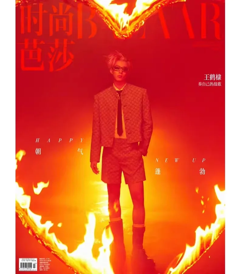 2024/02 Issue Wang Hedi Cover harper's Bazaar Magazine Dylan Wang Star Figure pagina interna Album fotografico libro della collezione d'arte