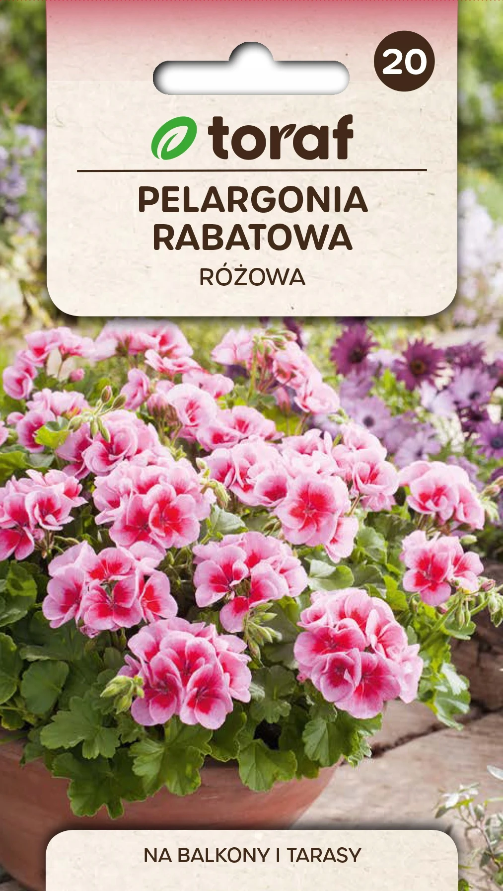 Semillas de Flor de Pelargonium Rosa Rabat-619 Toraf