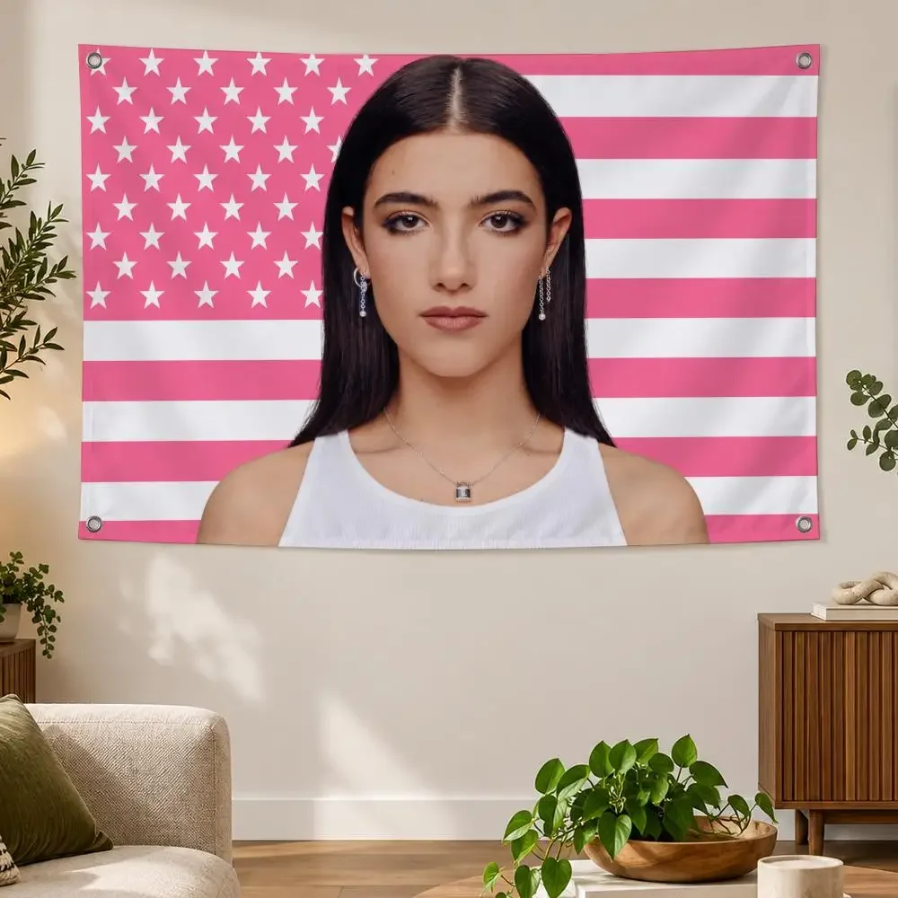 Influencer C-Charli D Amelio Flags Banner Decor for Bedroom,Garden,Party,Club,Indoor Outdoor, Fan Gift