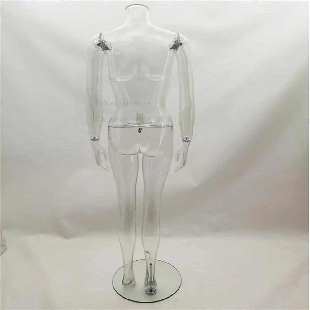 Transparent Female Mannequin Head for Sewing, Large Body Stand, Torso Panties, Underwear Show, Props Display, 3 Styles, E227