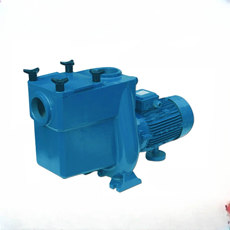 Swimming pool water pump filter circulating cast iron silent centrifugal waterproof AT series