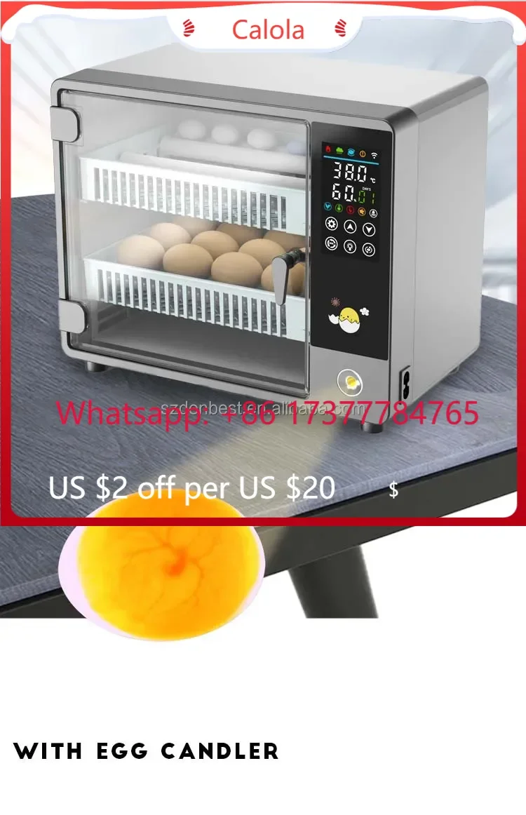 Automatic Mini 50 Roller Multifunctional Best-Selling Appliance