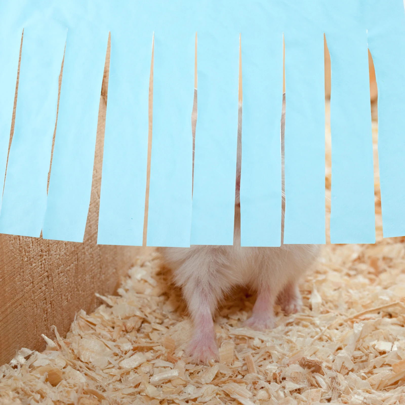 

2Pcs Hideout Small Tent Hammock Rabbit Hamster Hidden House Pet Sleeping House Tassel Corner Rabbit Tent