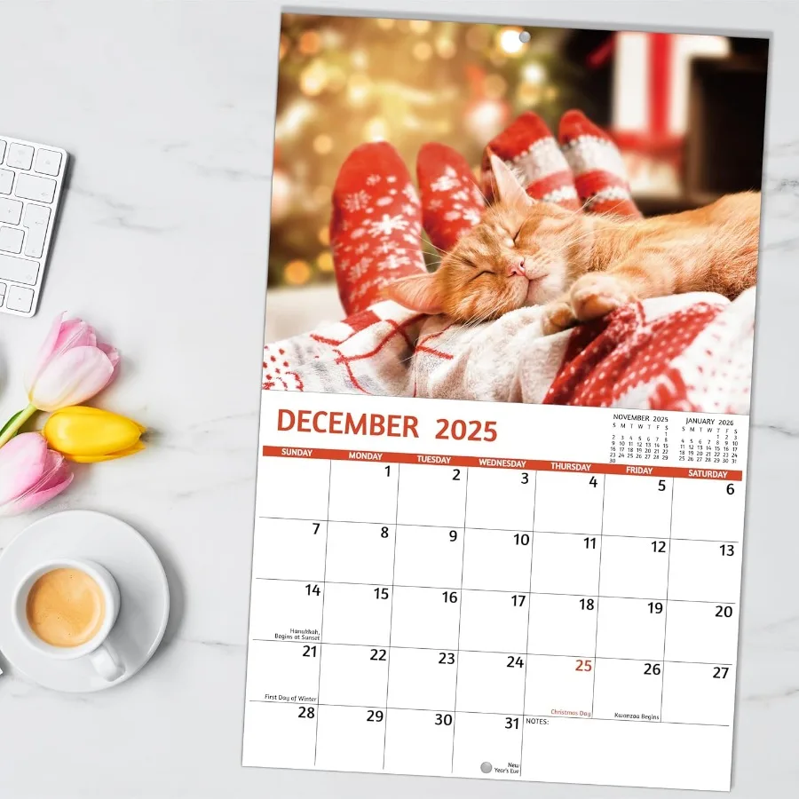 20252026 تقويم Cat ps التقويم 20252026 جدار. يوليو 2025 ديسمبر 2026 11 "× 17" مفتوح 18 شهرًا نائمة القطط تقويم الحائط غير القواعد #2