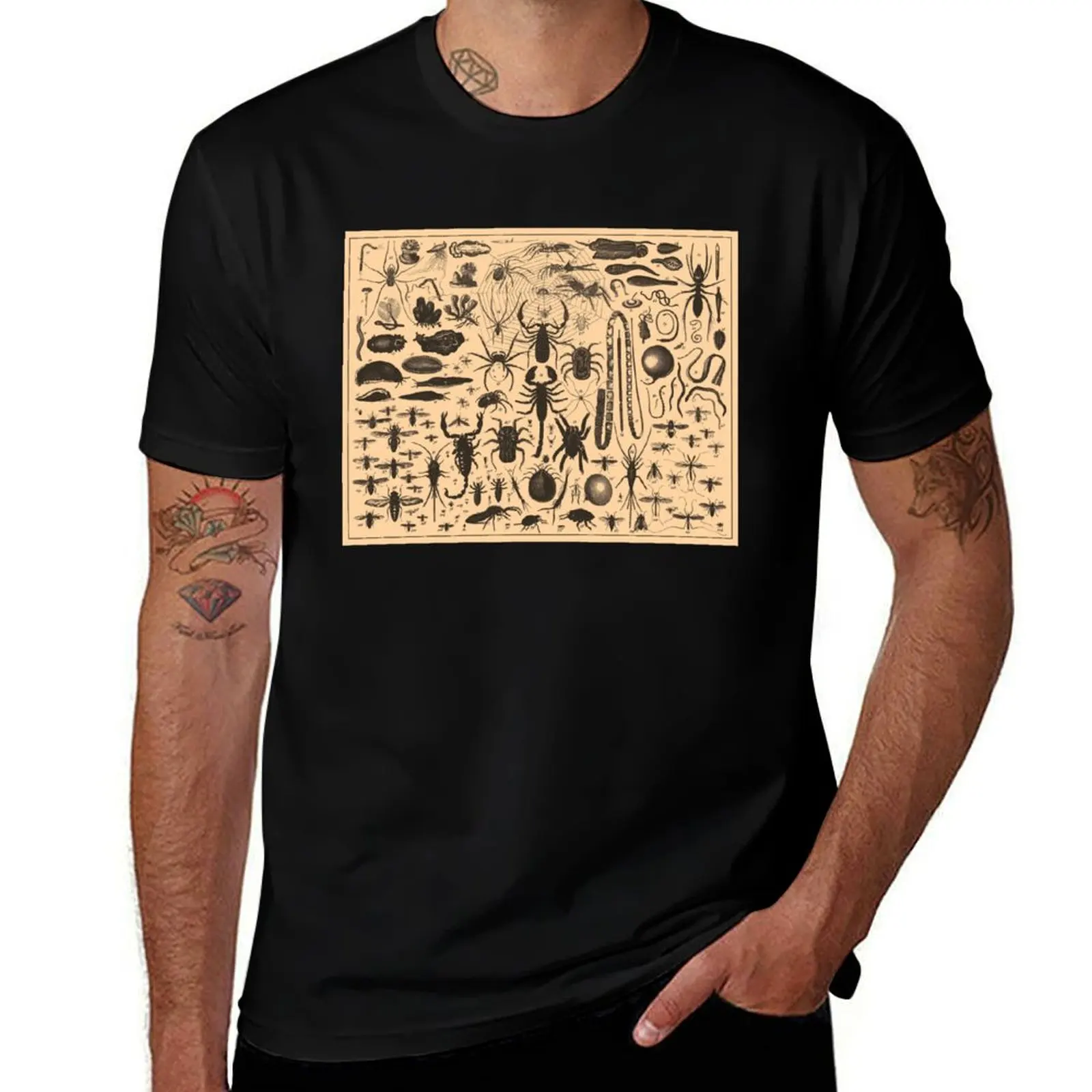 Tarantula Spider Scorpion Illustration Brockhaus & Efron Encyclopedic Dictionary T-Shirt UV Protection Outdoor Tee Shirt T-Shirt