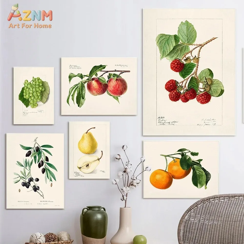 AZNM Vintage Botanical Fruit Canvas Wall Art, Grape Peach Pear Orange Raspberry Olive Watercolor Painting, Kitchen Farmhouse Hom