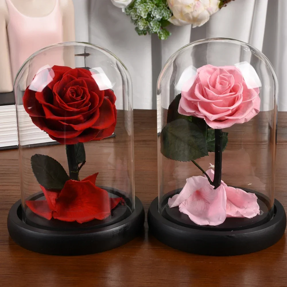 

Preserved Real Roses in Glass Dome Decortion in house Rose Eternal Flowers for Women Christmas Day Birthday Anniversary Gift box