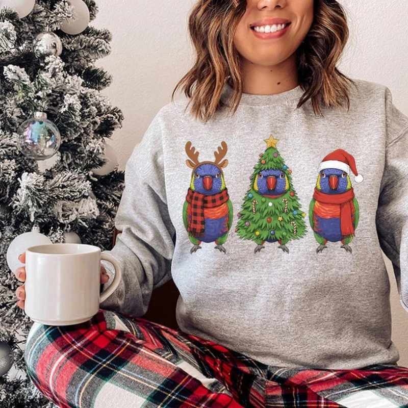 Felpa arcobaleno Lorikeet Natale autunno e inverno Felpa con cappuccio natalizia con uccello di Babbo Natale Regali di pappagalli carini Felpe con cappuccio abbinate a maniche lunghe