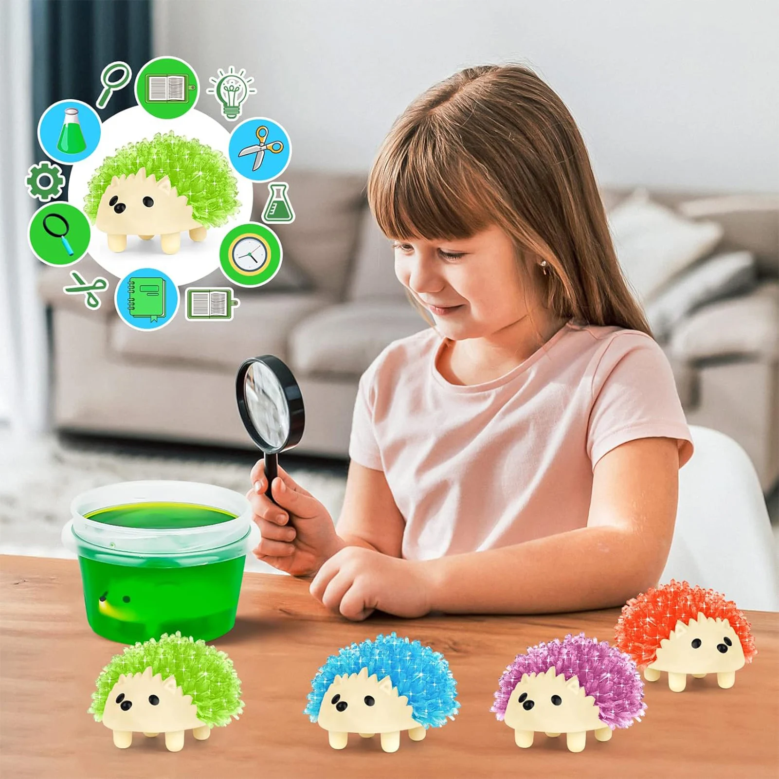 

Vibrant Colored Hedgehog to Grow Satisfy Children's Curiosity Interest Imagination Suitable for Teens STEM Gifts EIG88