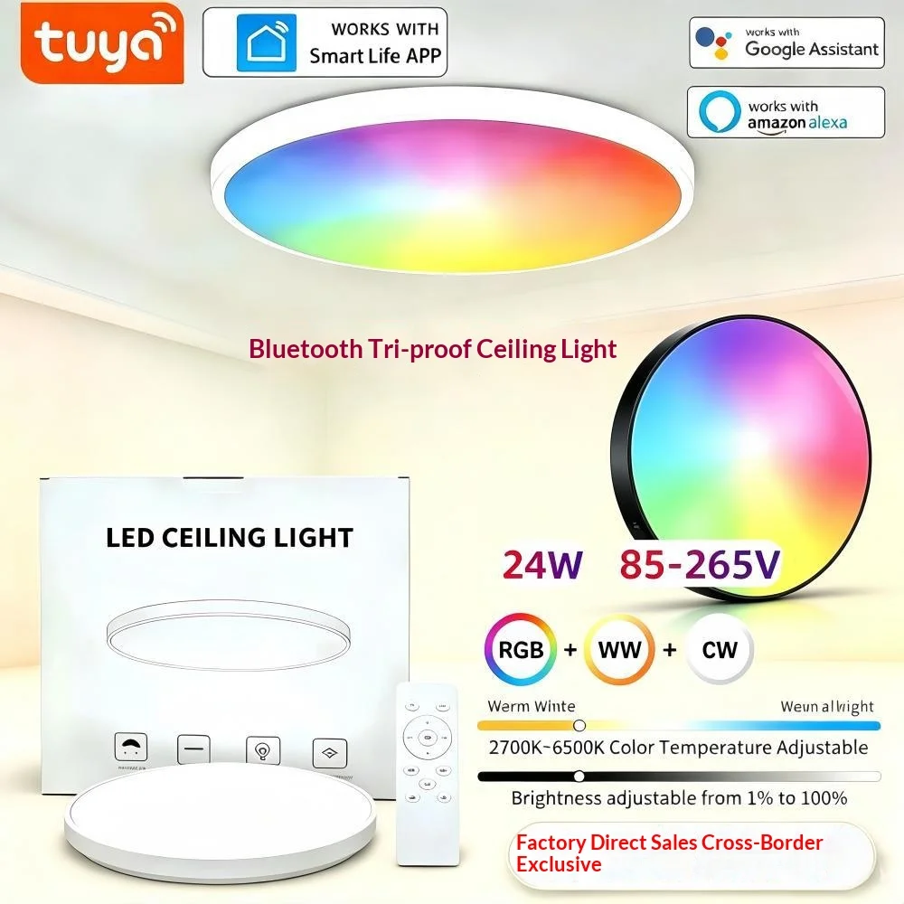 Tuya Smart Ceiling Light RGB CW Dimmable Flush Mount Lamp Bluetooth Works with Alexa Google Home for Bedroom Kitchen